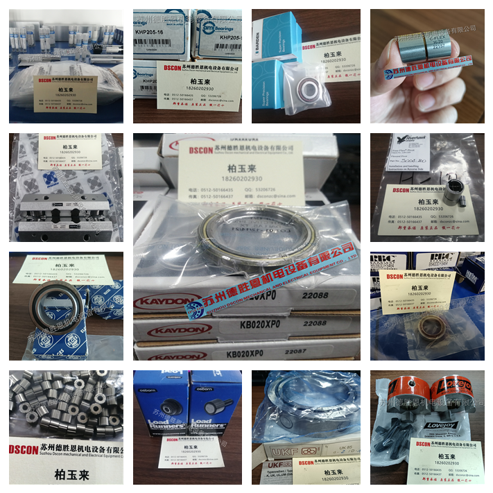 0190-76095 美國(guó)KAYDON半導(dǎo)體軸承 0010-02171 0010-02170
